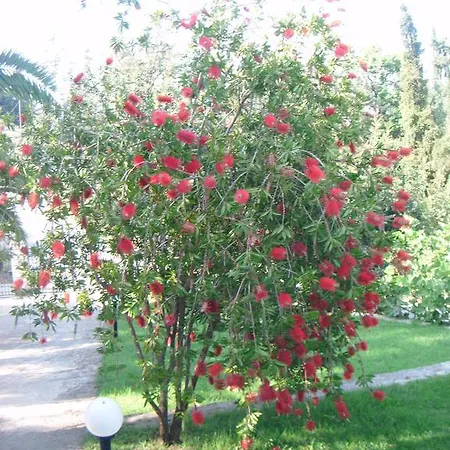 Emily Tatil Evi Achílleion